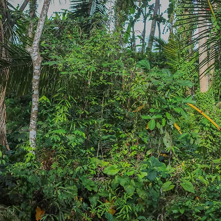 Shankara Accomodation Ubud
